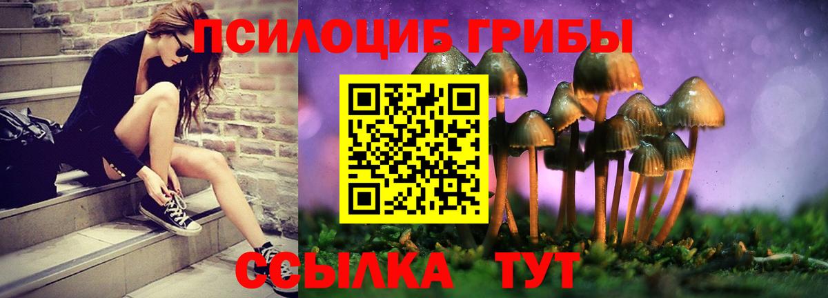 Псилоцибиновые грибы мицелий  Вход с VPN  Майкоп 